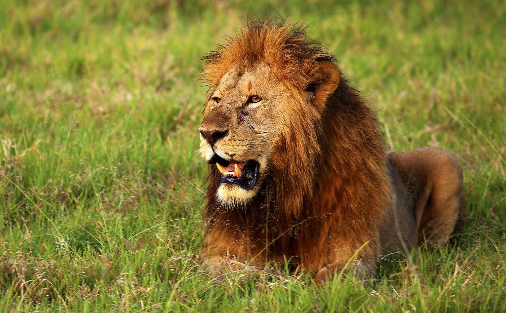 Tanzania
