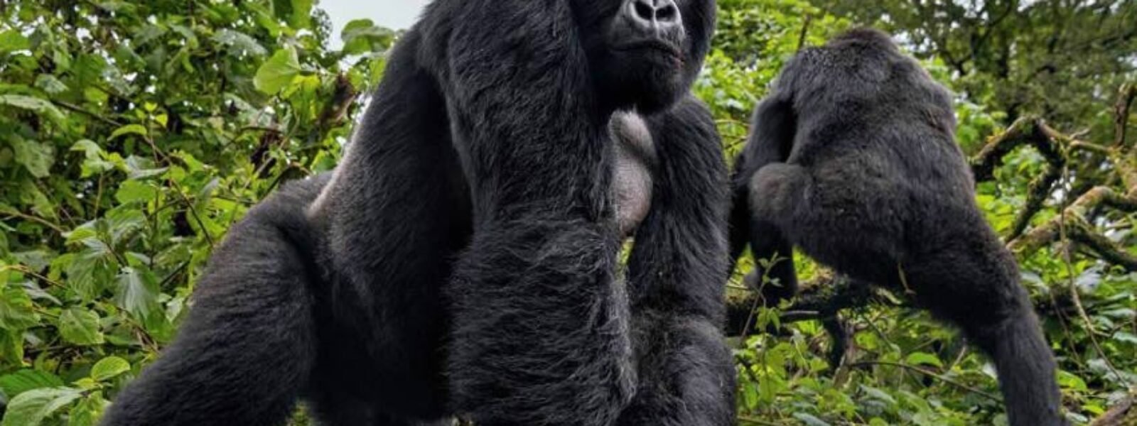 Rwanda