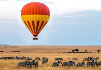 Central Serengeti Safari: Year-Round Wildlife in the Heart of Tanzania