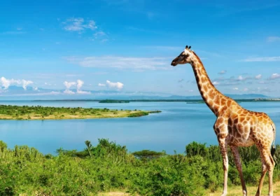 Just Graduated? Here’s Why East Africa Should Be Your First Big Trip