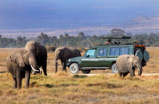 Private safari vehicle in Masai Mara, Kenya with exclusive wildlife viewing