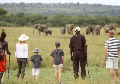How Much Does an East African Safari Cost in 2026? A Realistic Breakdown