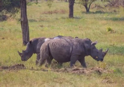 Conservation & Research Expedition
